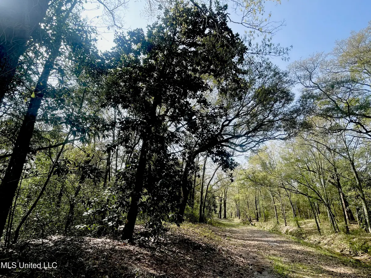 Holland Street, Pascagoula, MS 39581 - #1