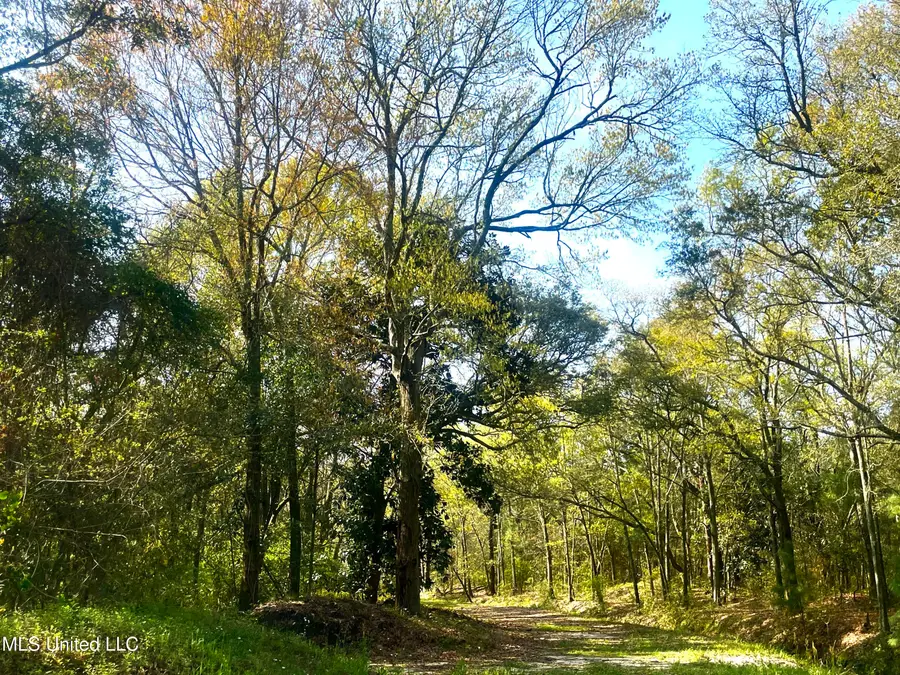 Holland Street, Pascagoula, MS 39581 - #2