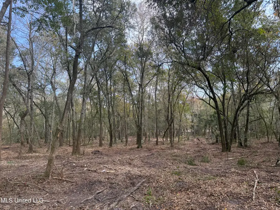 Holland Street, Pascagoula, MS 39581 - #3