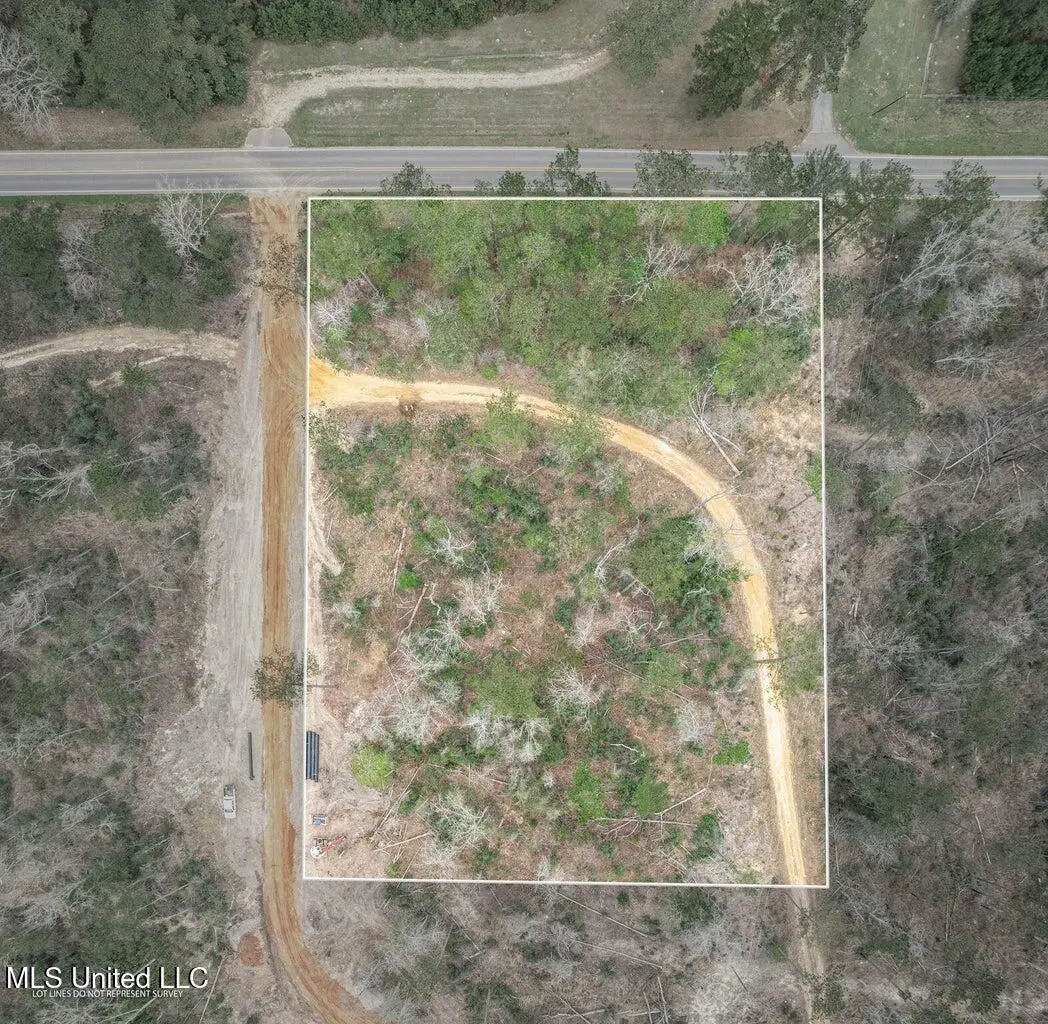 Lot 9 Bridgewater Subdivision, Sumrall, MS 39482 - #1