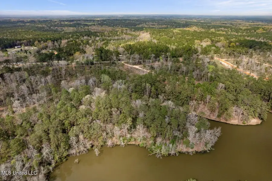 Lot 9 Bridgewater Subdivision, Sumrall, MS 39482 - #3