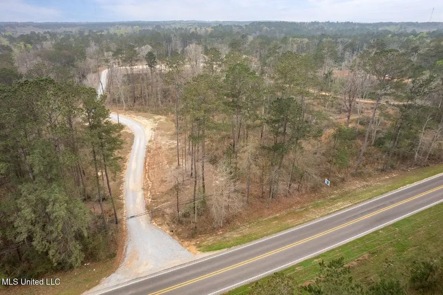 Lot 10 Bridgewater Subdivision, Sumrall, MS 39482 - #2