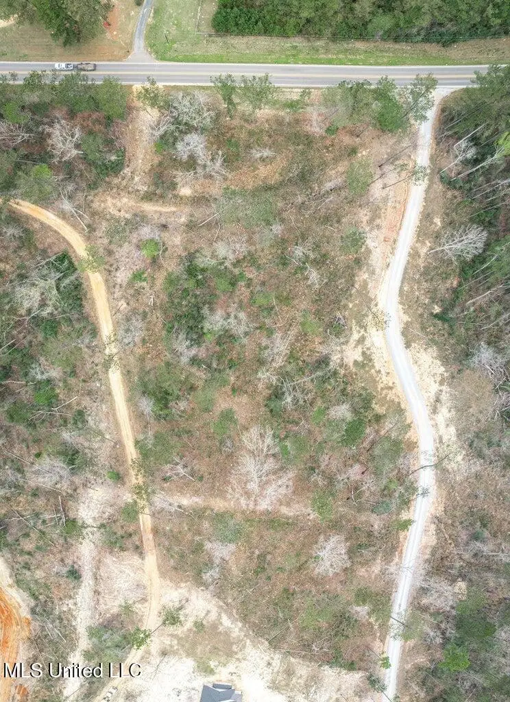 Lot 10 Bridgewater Subdivision, Sumrall, MS 39482 - #3