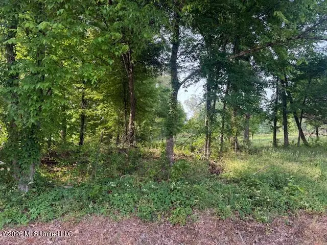 Lot 1 Slocum Road, Hernando, MS 38632 - #1