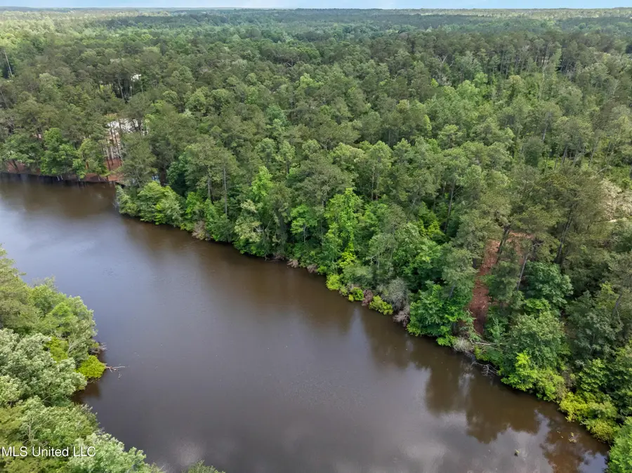 8 Acres Bridgewater Subdivision, Sumrall, MS 39482 - #3