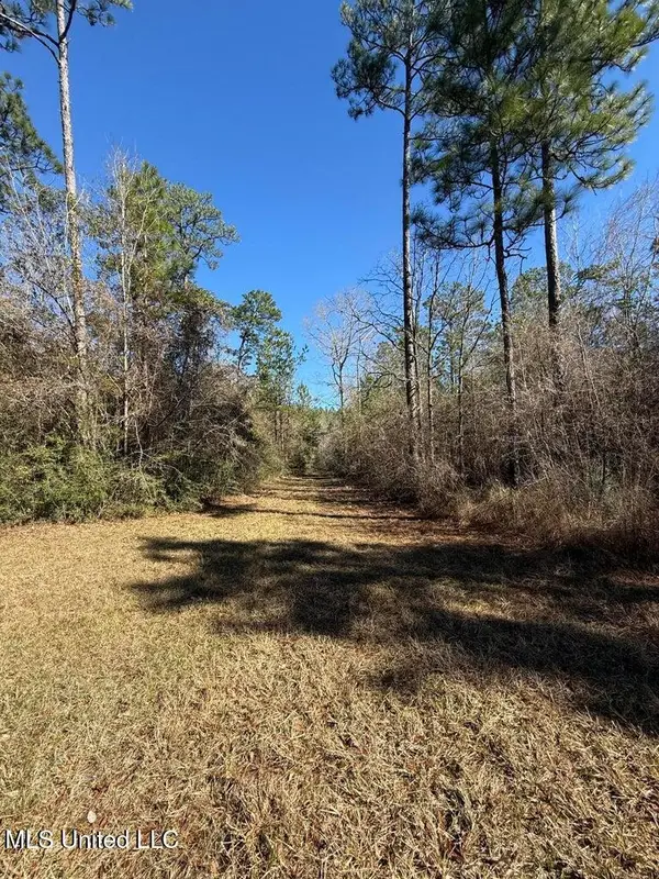 113 +/- Acres Hwy 98, Columbia, MS 39429