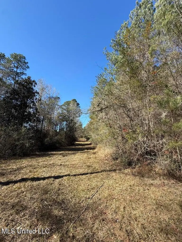 113 +/- Acres Hwy 98, Columbia, MS 39429 - Image #2
