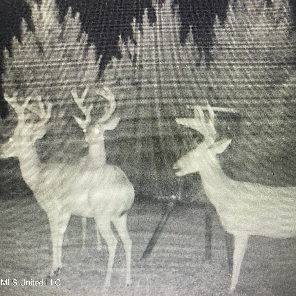 448 Attala County Road 4005 Road, Goodman, MS 39079 - #1