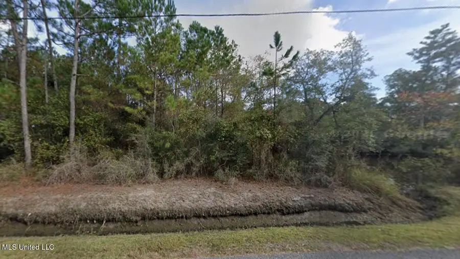 01 Bayou Drive, Bay Saint Louis, MS 39520 - #2