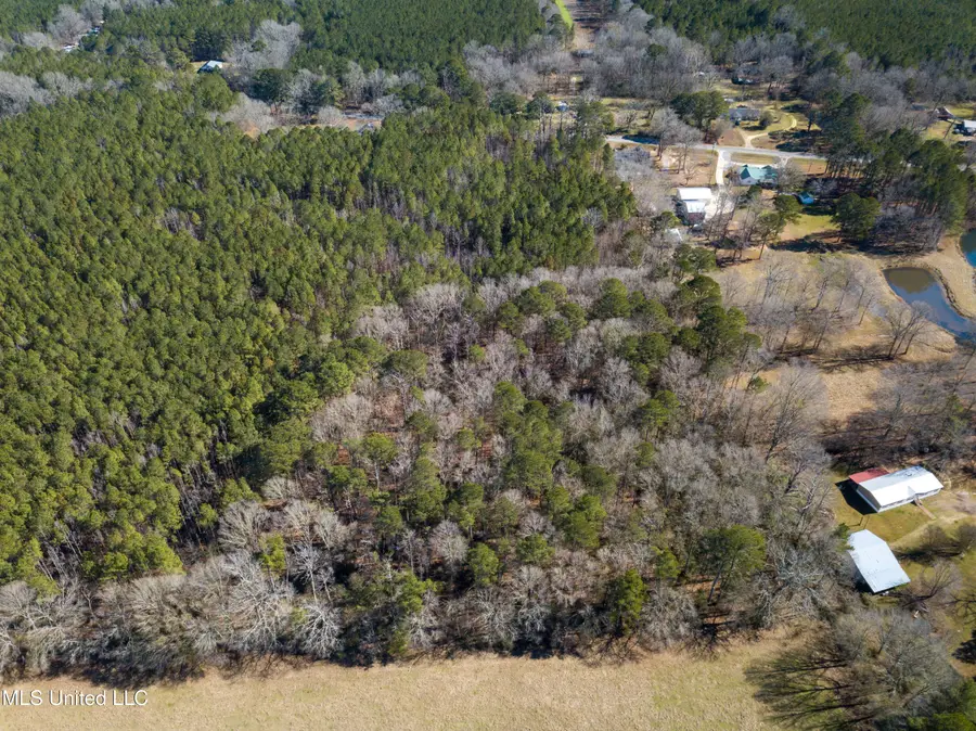 Mississippi 13 Highway, Morton, MS 39117 - #2