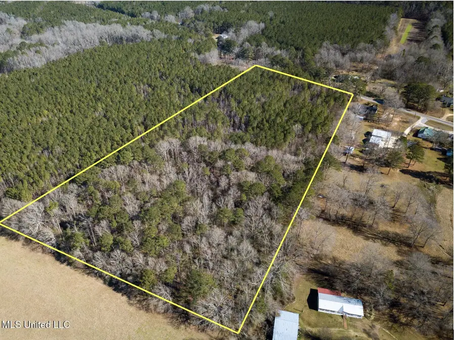 Mississippi 13 Highway, Morton, MS 39117 - #3