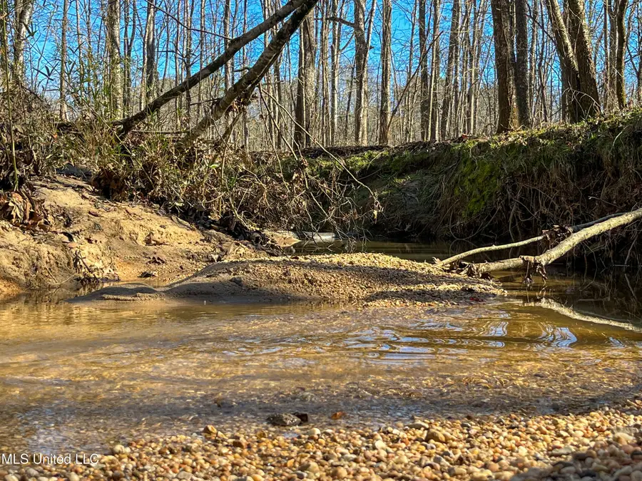 Highway 505, Lawrence, MS 39336 - Image #3