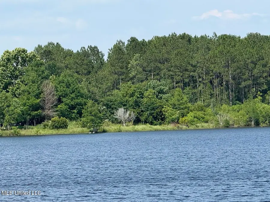 Sunfish Cove, Perkinston, MS 39573 - #2