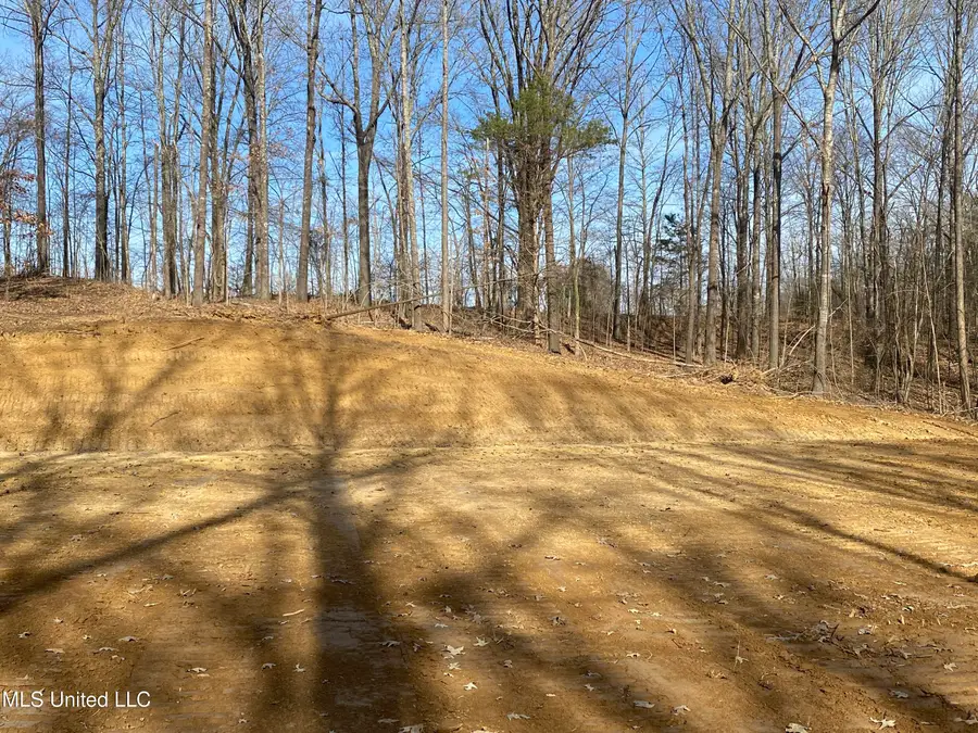 Brownsferry Rd Road, Sarah, MS 38665 - #2