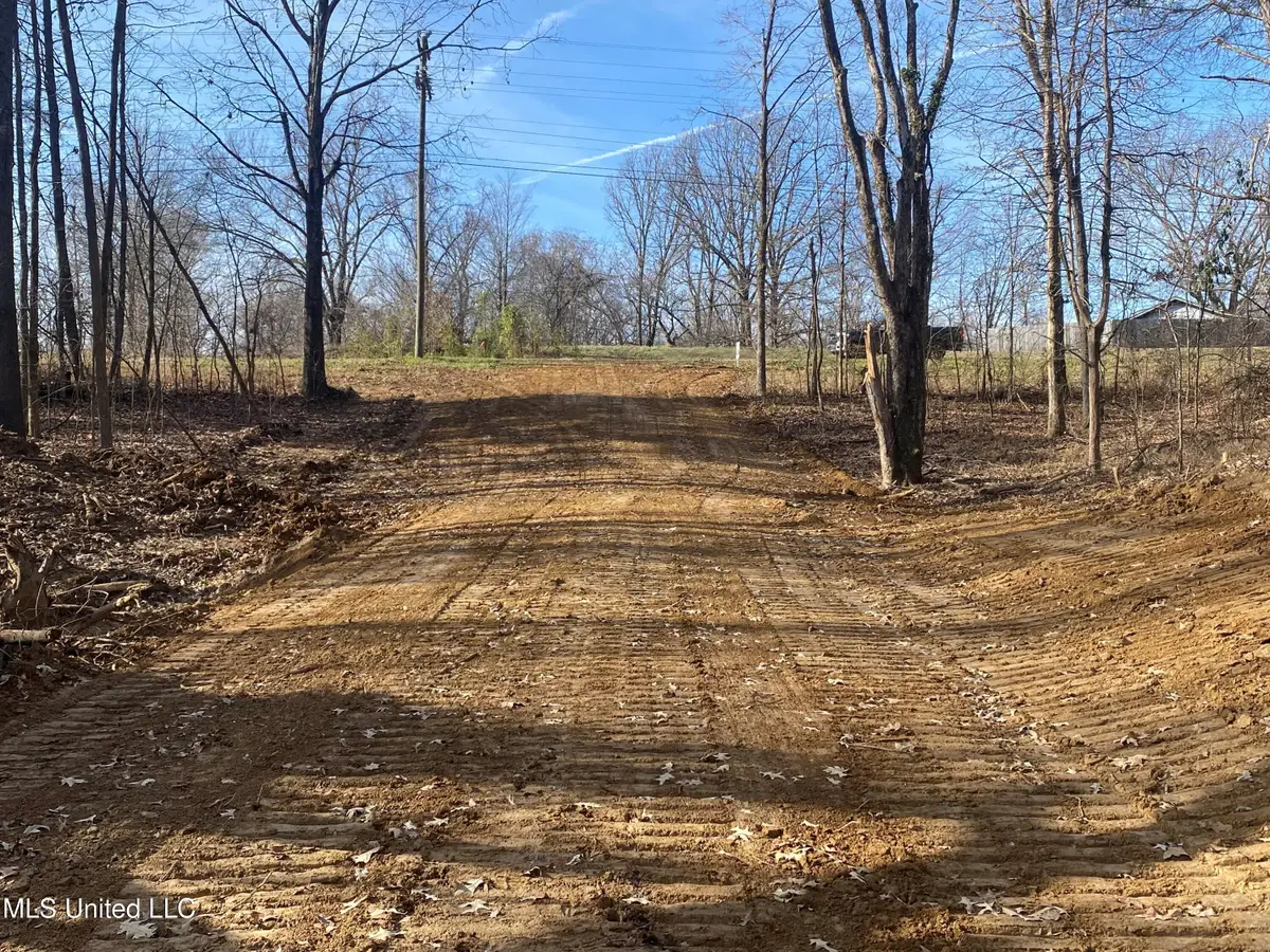 Longtown Road, Sarah, MS 38665 - #1