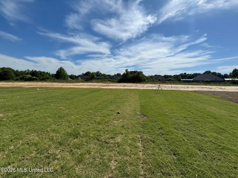 7339 Newbury Drive, Olive Branch, MS 38654 - #3