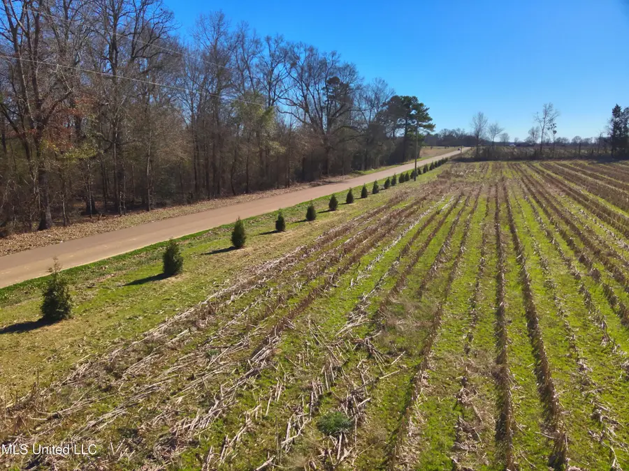 579 Black Jack Road, Vaughan, MS 39179 - #2