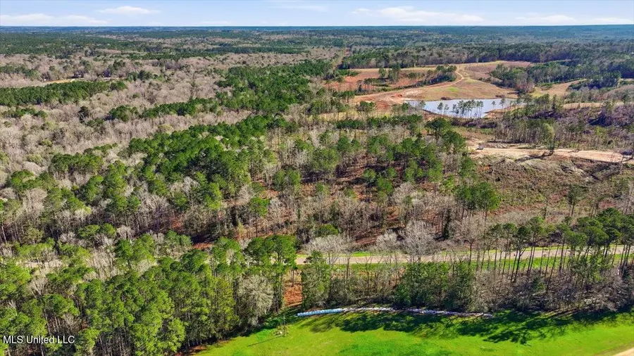 120 Mary Bertie Drive, Mendenhall, MS 39114 - #2