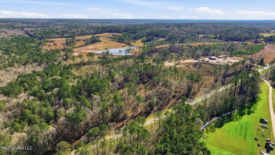 120 Mary Bertie Drive, Mendenhall, MS 39114 - #3