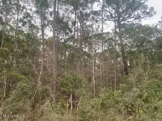 Azalea Lane, Pass Christian, MS 39571 - Image #2