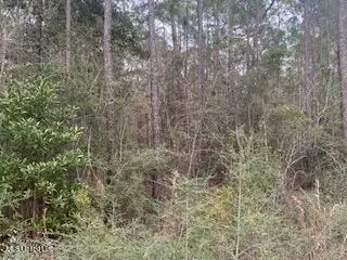 Azalea Lane, Pass Christian, MS 39571 - Image #3