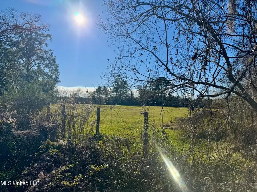 11219 Jordan River Drive, Bay Saint Louis, MS 39520 - #2