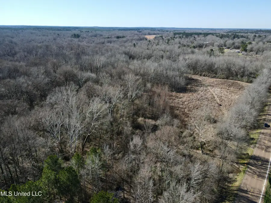 Highway 12, Sallis, MS 39160 - #2