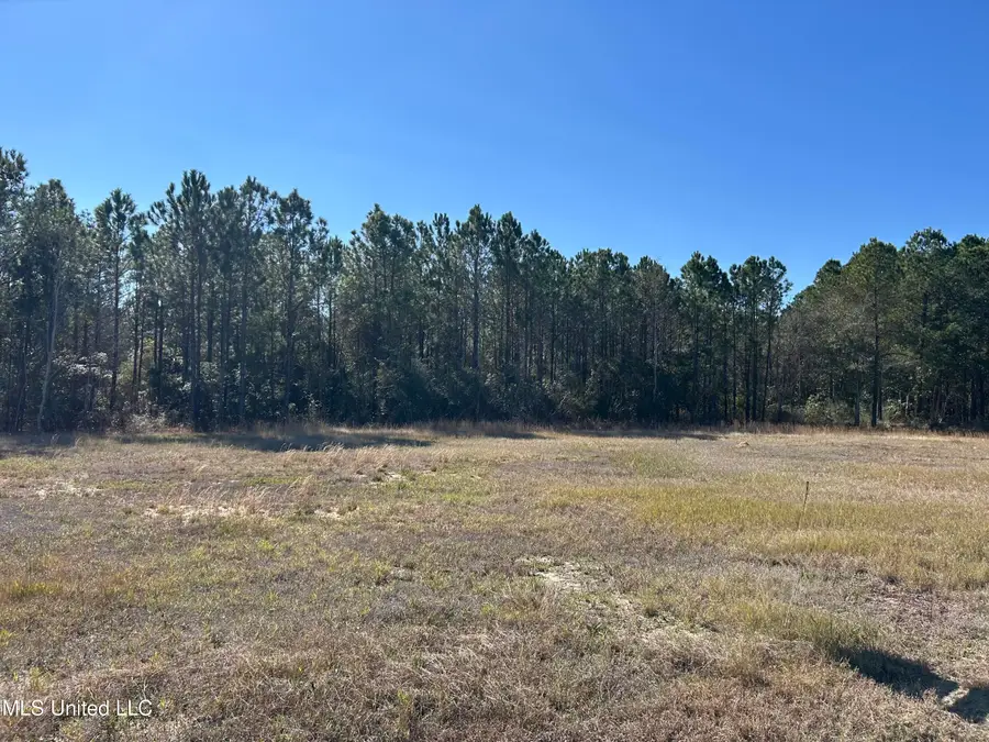 Nhn W 4th Street, Waveland, MS 39576 - #2