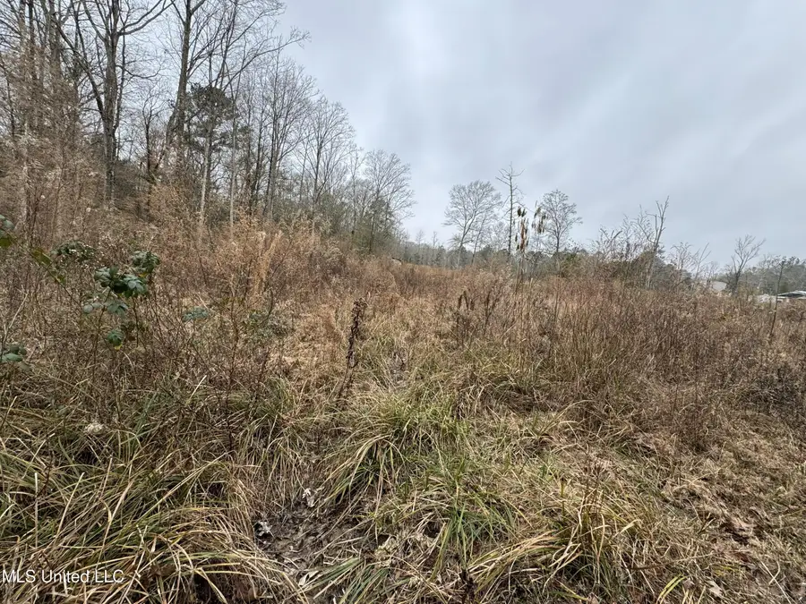 Cold Springs Road, Collins, MS 39428 - #3