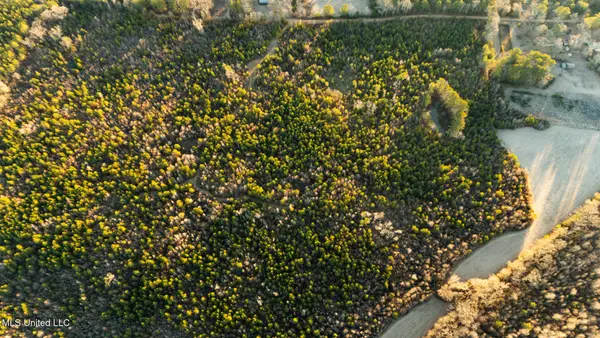 3885 Attala Road 4153, Sallis, MS 39160