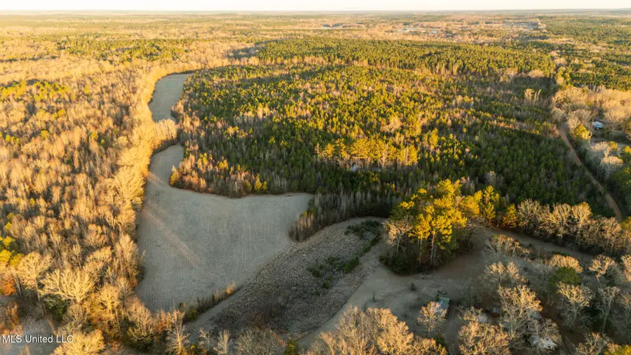 3885 Attala Road 4153, Sallis, MS 39160 - #3