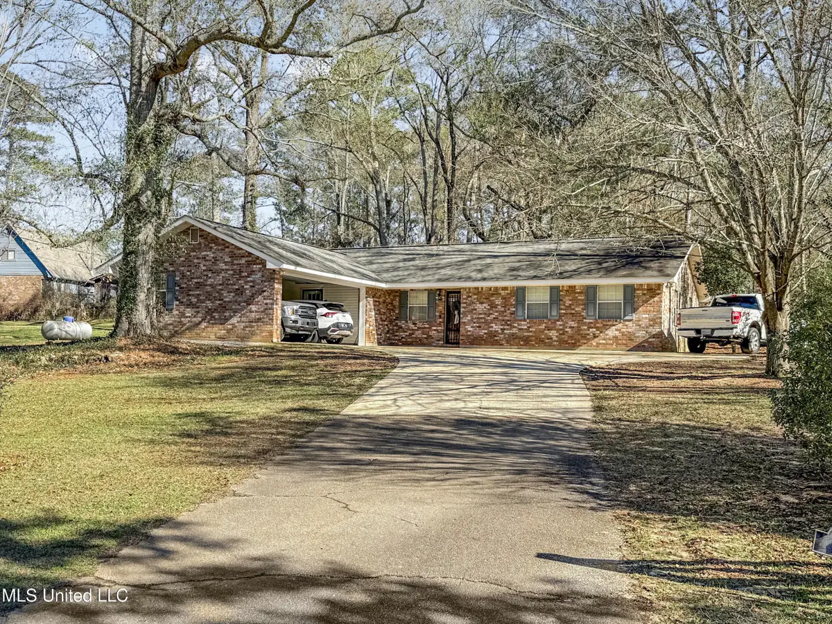1019 Busy Lane, Summit, MS 39666 - #1