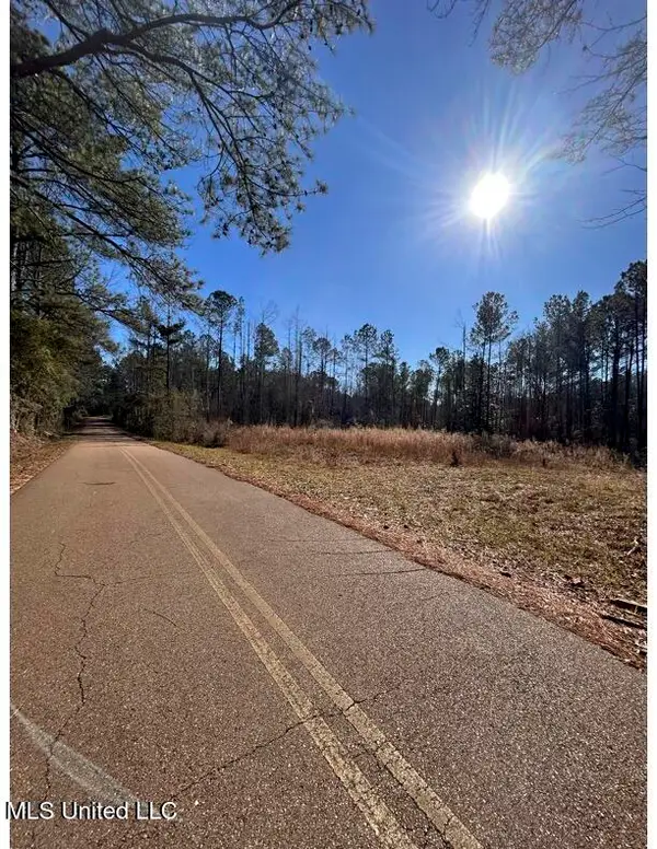 Poplar Springs Road, Hazlehurst, MS 39083