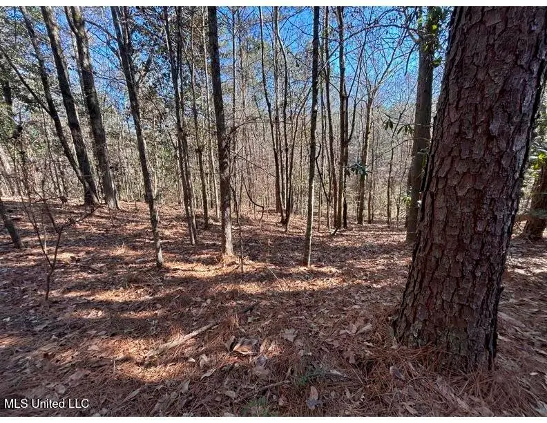 Poplar Springs Road, Hazlehurst, MS 39083 - #2