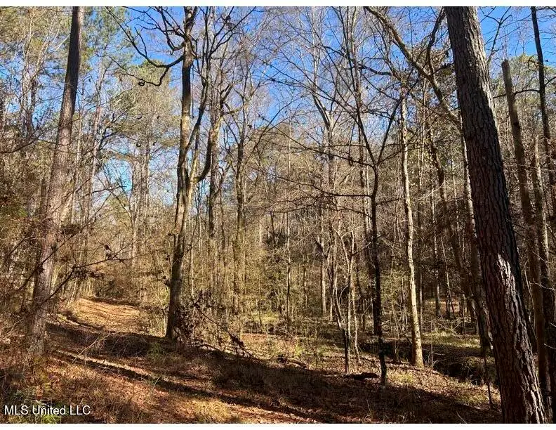 Poplar Springs Road, Hazlehurst, MS 39083 - #3