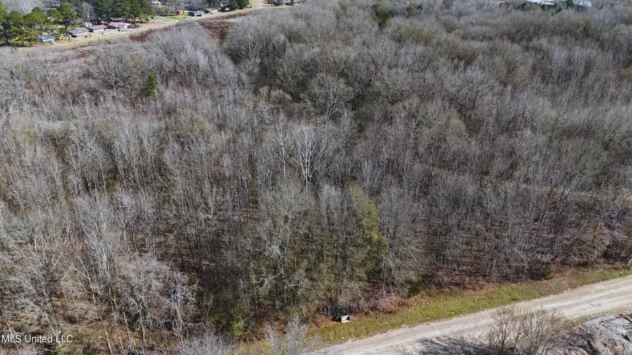 Ratliff Road, Flora, MS 39071 - Image #2