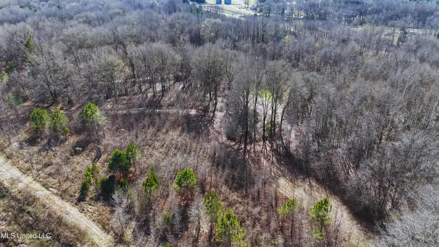 Ratliff Road, Flora, MS 39071 - Image #3