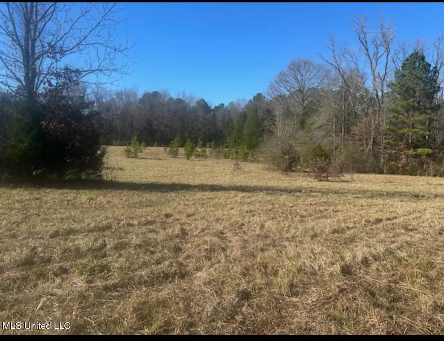 170 Camden Road, Camden, MS 39045 - #2