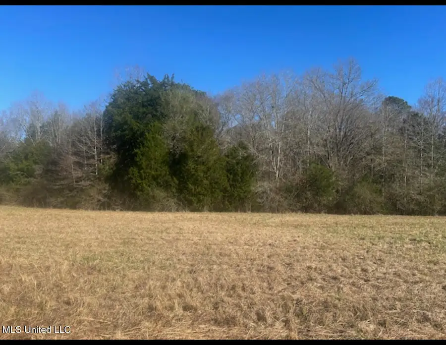 170 Camden Road, Camden, MS 39045 - #3