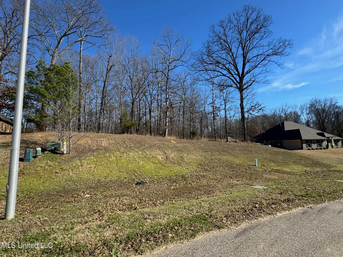 9678 Vaughters Cove, Olive Branch, MS 38654 - #1