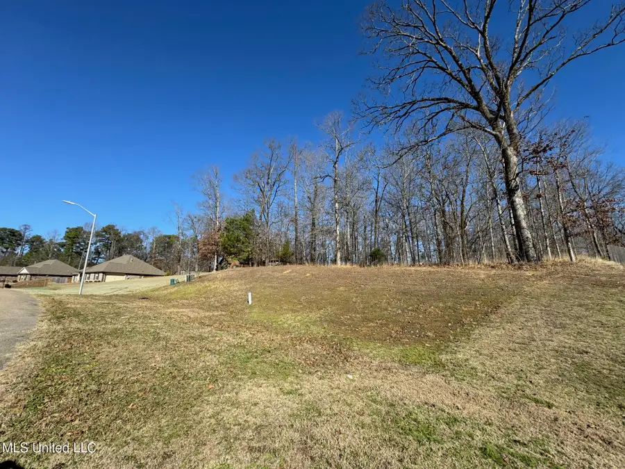 9678 Vaughters Cove, Olive Branch, MS 38654 - #3