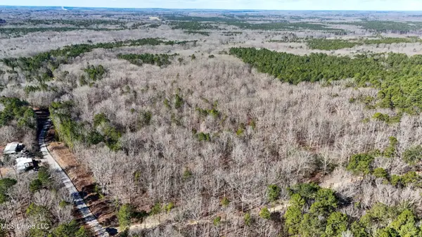 0 Tall Pines Road, Ashland, MS 38603