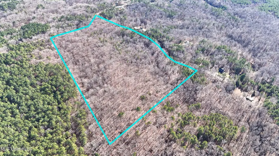 0 Tall Pines Road, Ashland, MS 38603 - #3