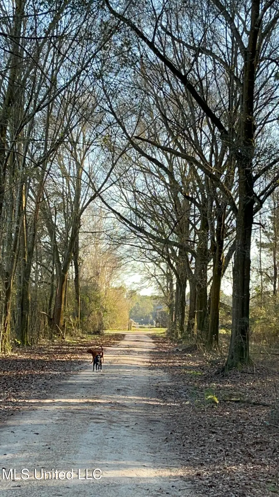 130 Lower Ovett Road, Ovett, MS 39464 - #3