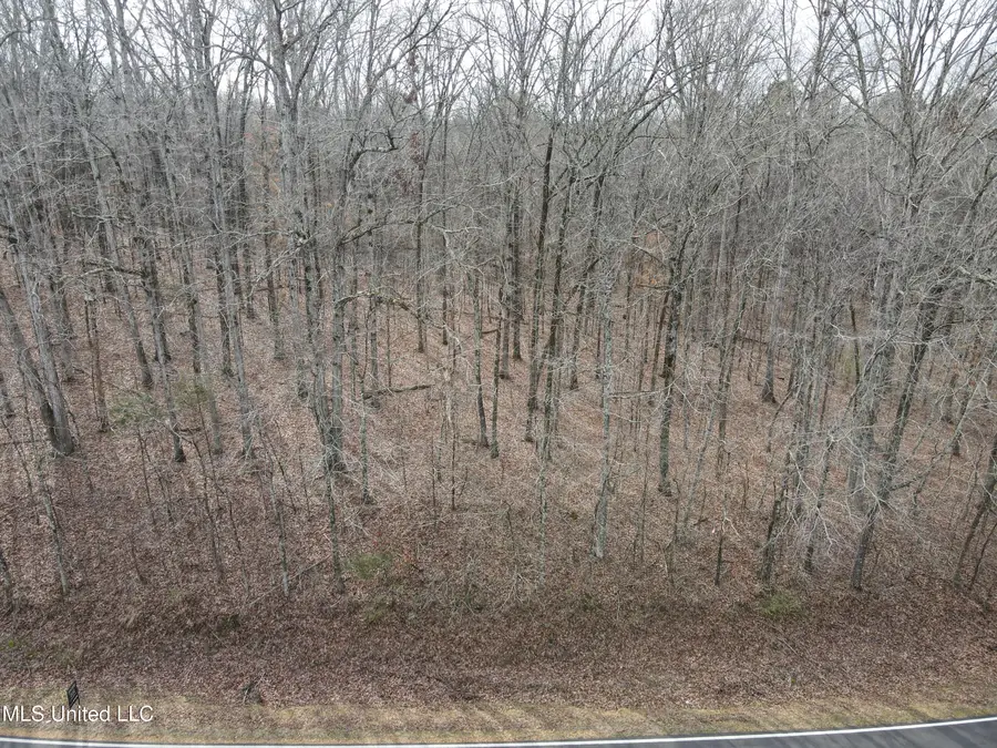 Evening Shade Drive, Olive Branch, MS 38654 - #3