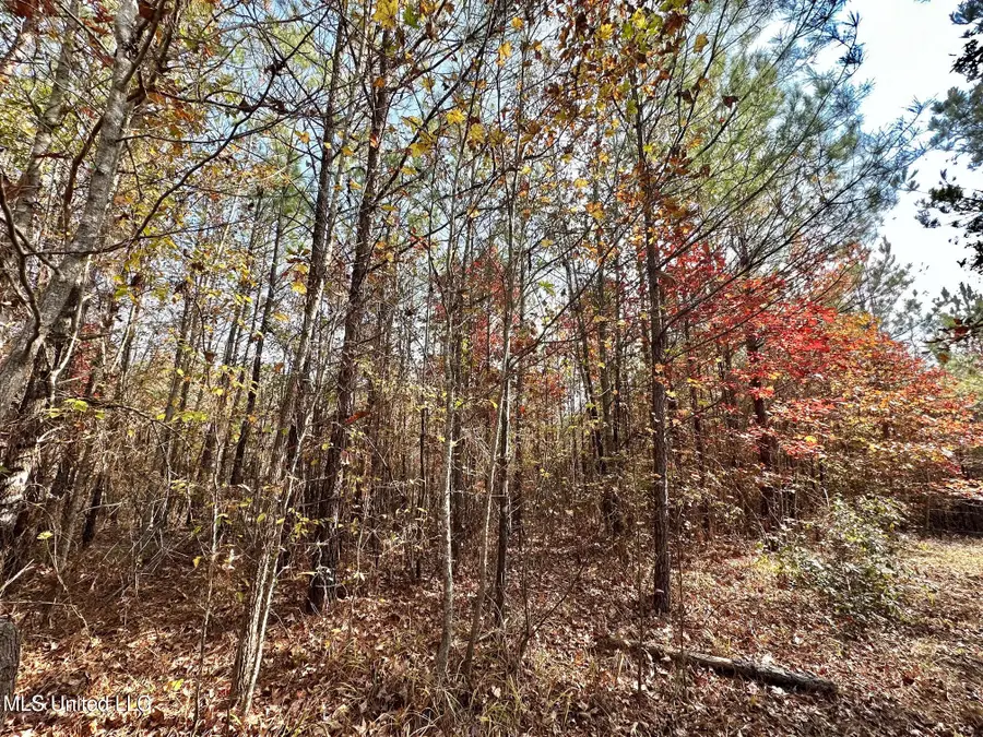 7 County Road 3122, McCool, MS 39108 - #3