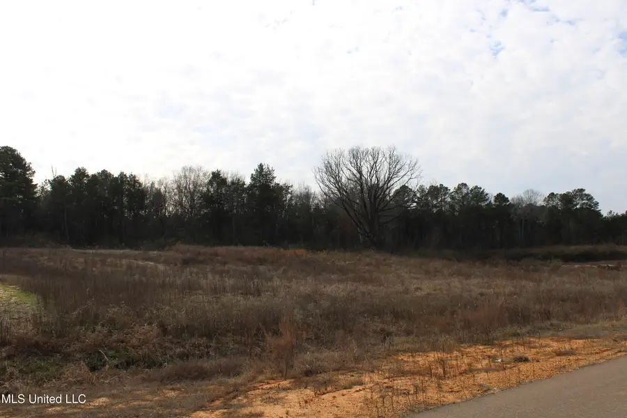 6 Taylor Nichole Road, Byhalia, MS 38611 - #3