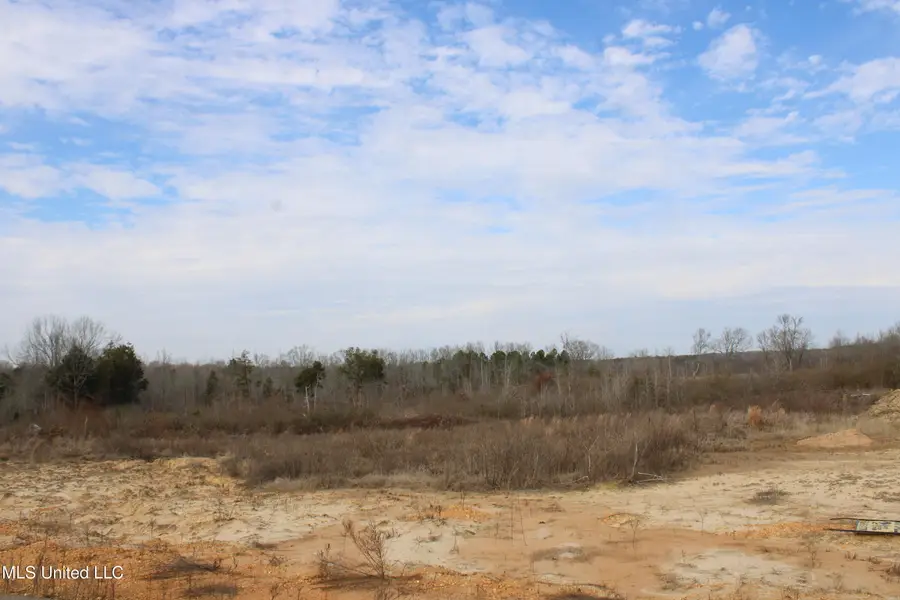 13 Taylor Nichole Road, Byhalia, MS 38611 - #2