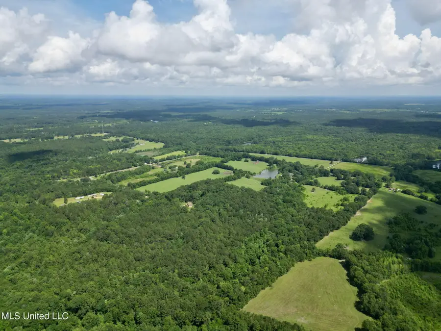 55 Amacker Road, Poplarville, MS 39470 - #2