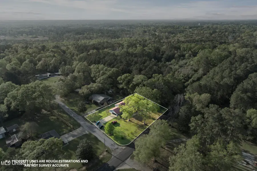 535 Leeville Road, Petal, MS 39465 - Image #3